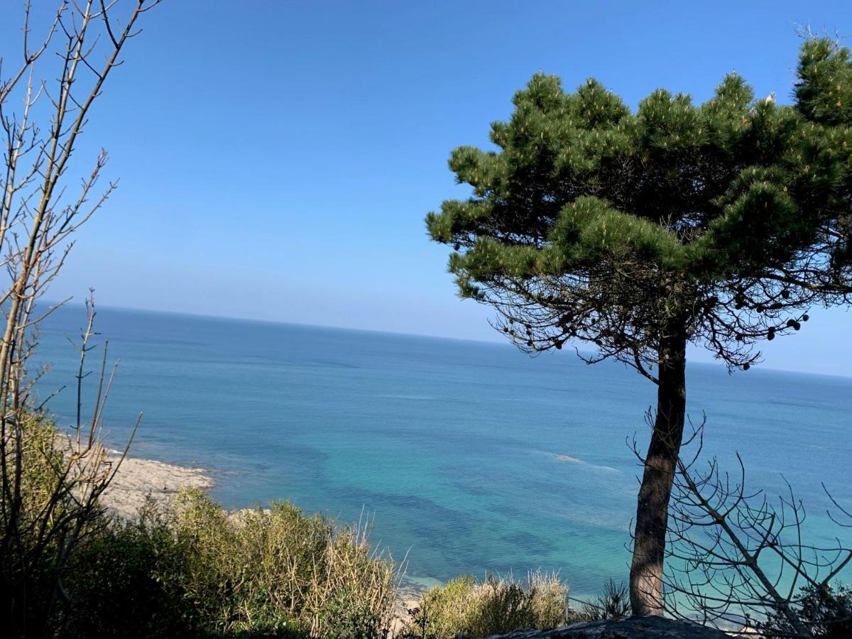 Appartement Villa Chausey, Vue Sur Le Port Granville Exterior photo